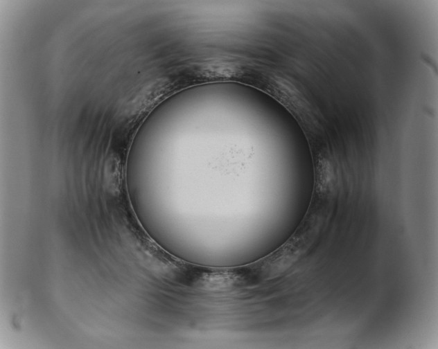 X0000103130414200808221158