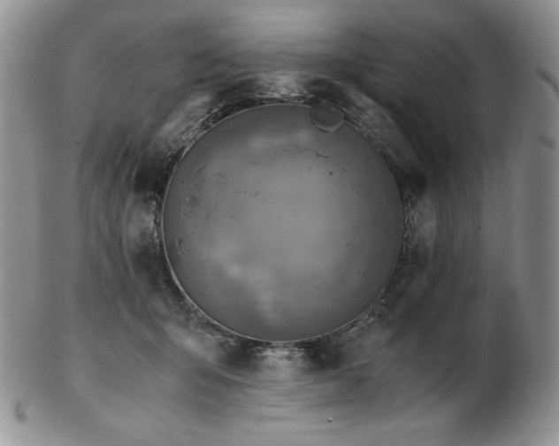 X0000103130415200808221158