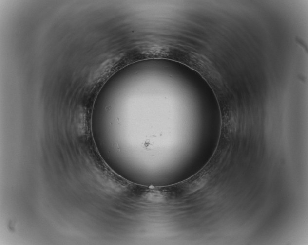 X0000103130416200808221158