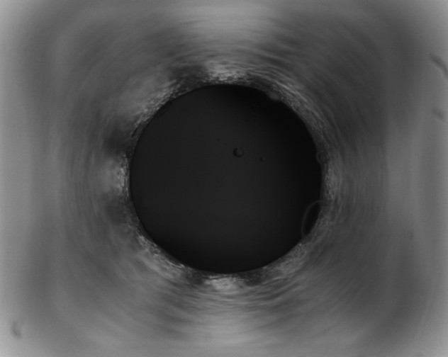 X0000103130417200808221158