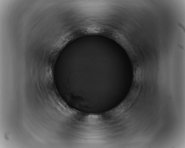 X0000103130418200808221158