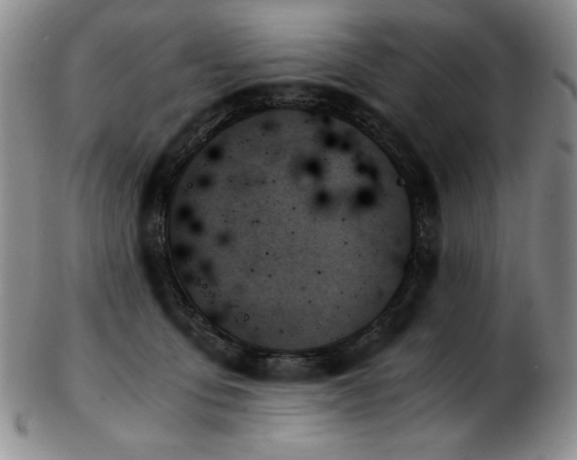 X0000103130419200808221158
