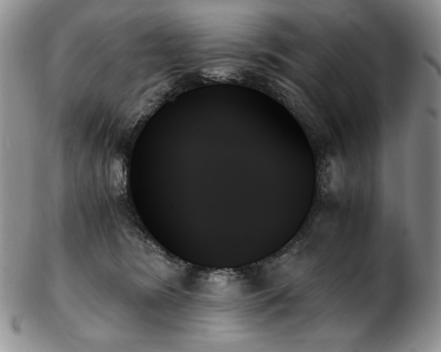 X0000103130420200808221158