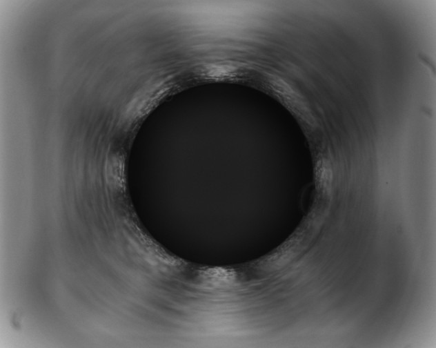 X0000103130421200808221158
