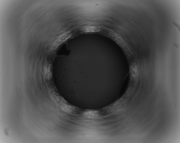 X0000103130422200808221158