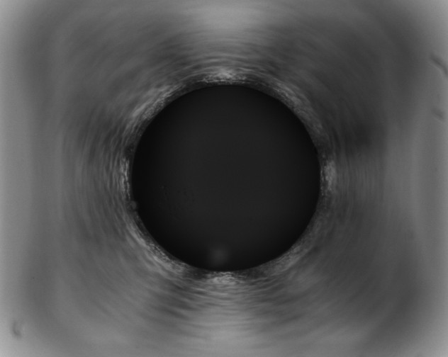 X0000103130423200808221158