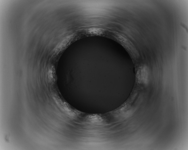 X0000103130424200808221158