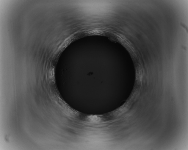 X0000103130425200808221158