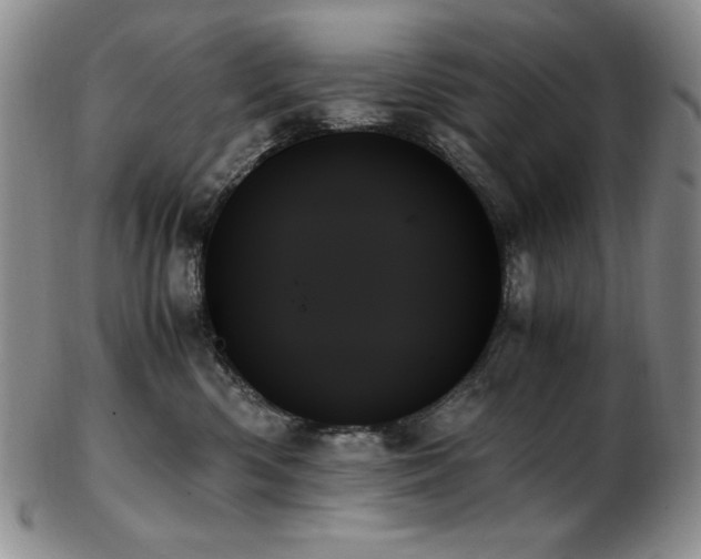 X0000103130426200808221158