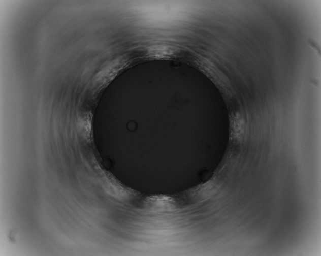 X0000103130427200808221158