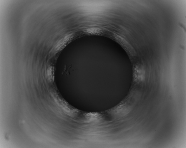 X0000103130428200808221158