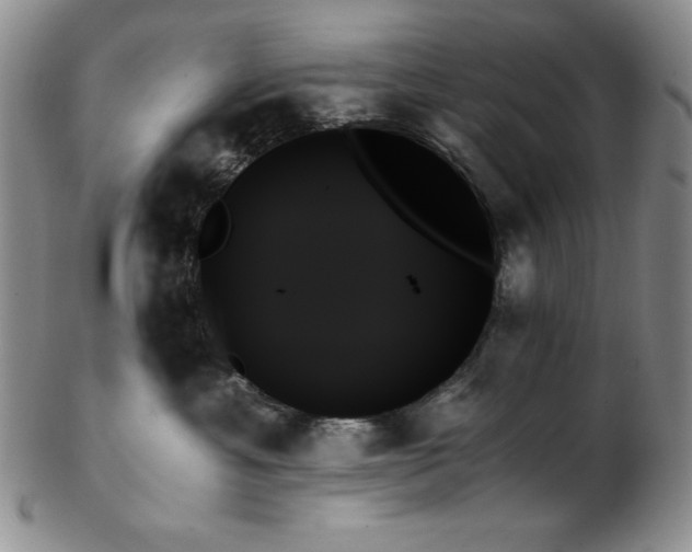 X0000103130429200808221158