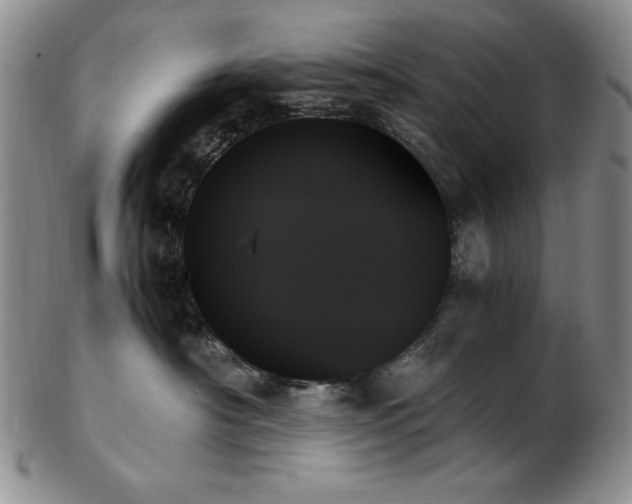 X0000103130430200808221158