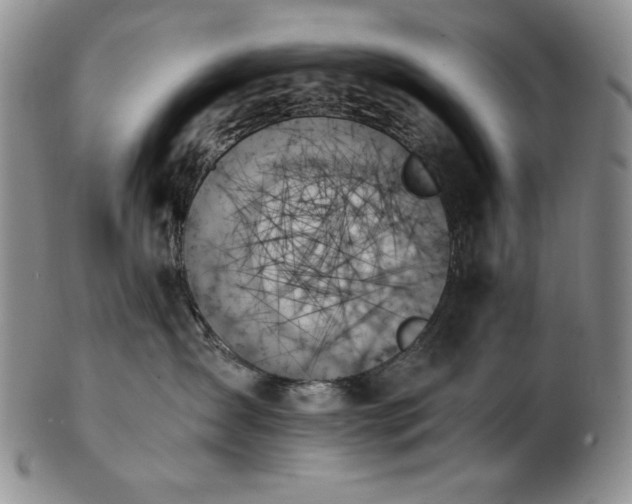 X0000103130431200808221158
