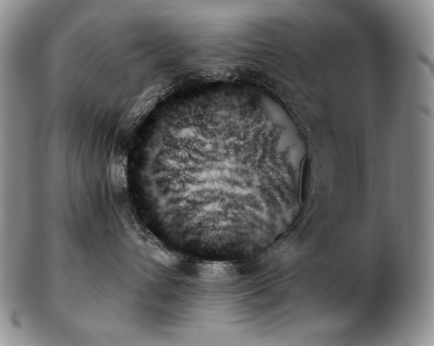 X0000103130432200808221158