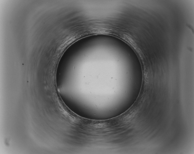 X0000103130433200808221157