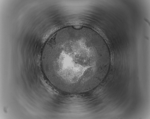 X0000103130434200808221157