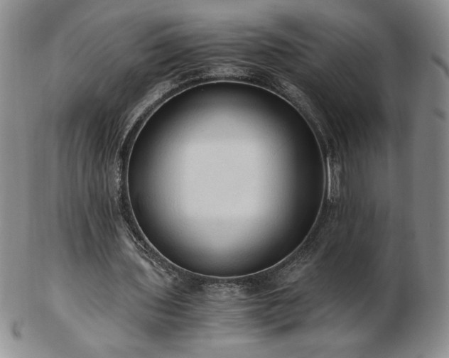 X0000103130435200808221157