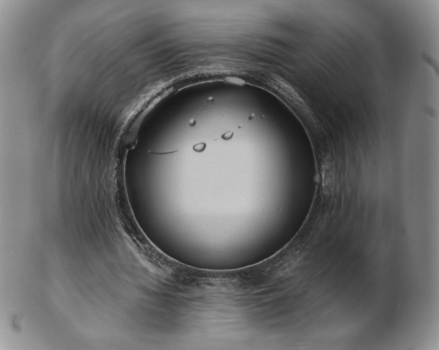 X0000103130436200808221157