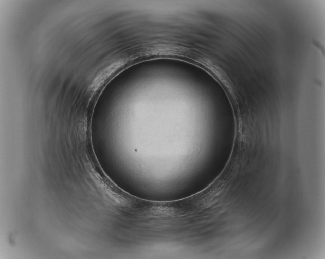X0000103130437200808221157