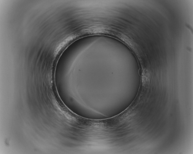X0000103130438200808221157