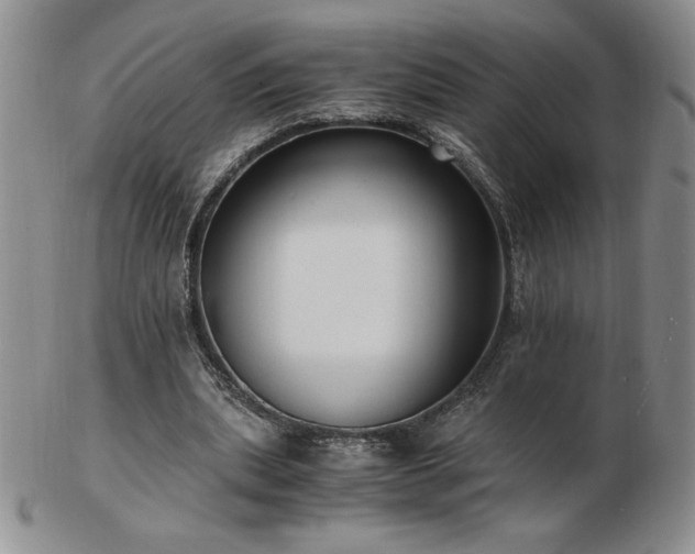X0000103130439200808221157