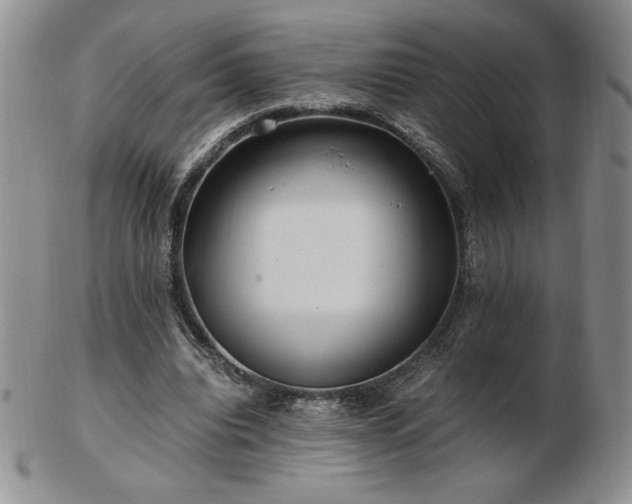 X0000103130440200808221157