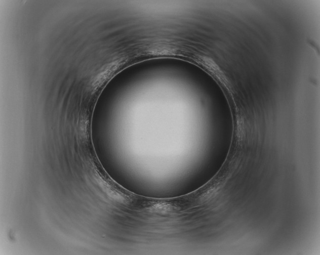 X0000103130441200808221157