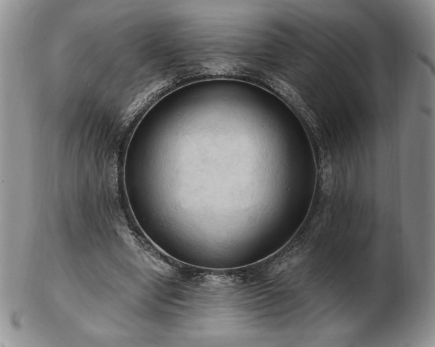 X0000103130442200808221157
