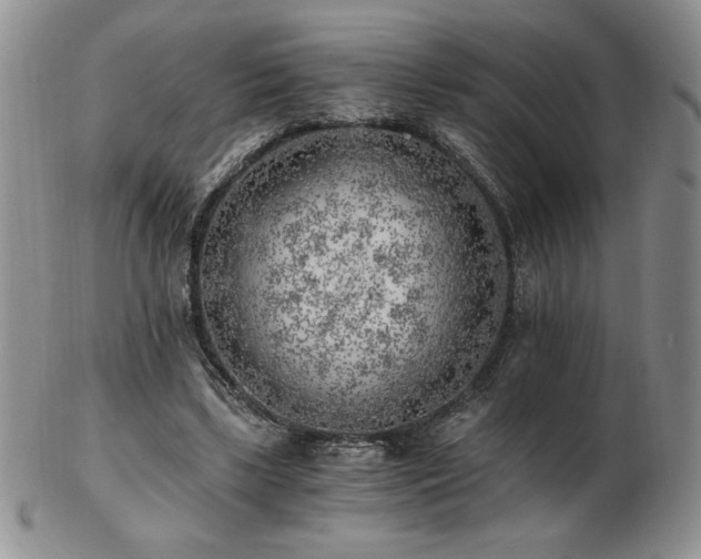 X0000103130443200808221157