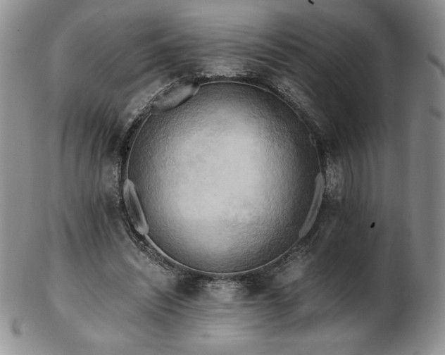 X0000103130444200808221157