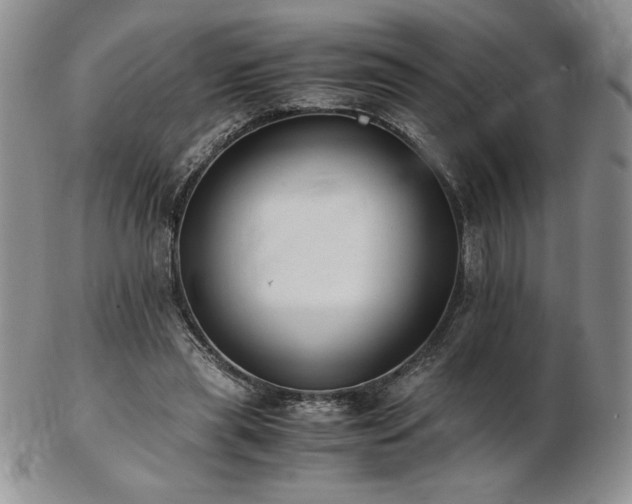 X0000103130445200808221157