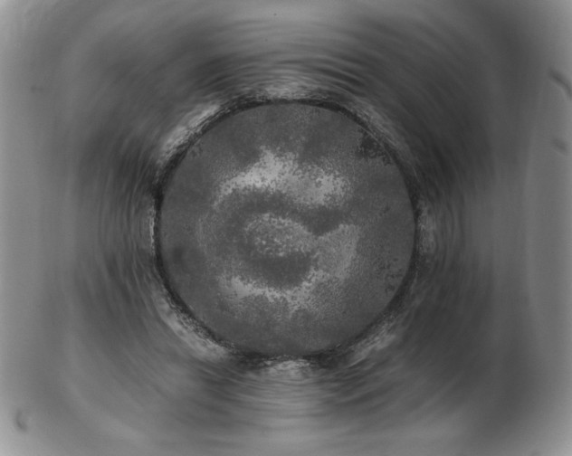 X0000103130446200808221157