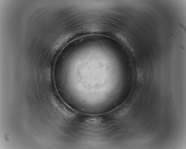 X0000103130447200808221157