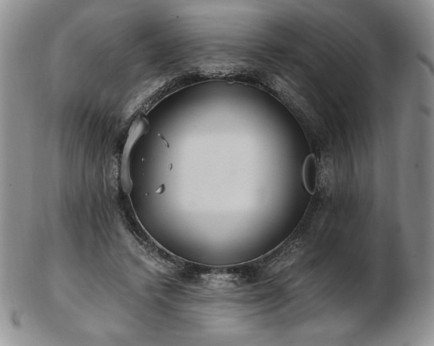 X0000103130448200808221157