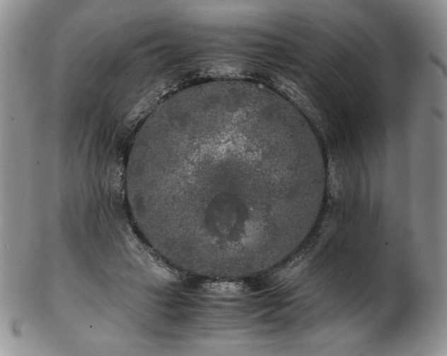 X0000103130449200808221157