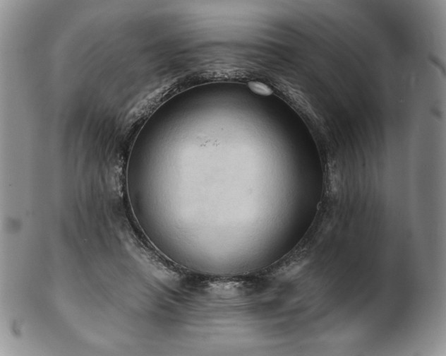 X0000103130450200808221157