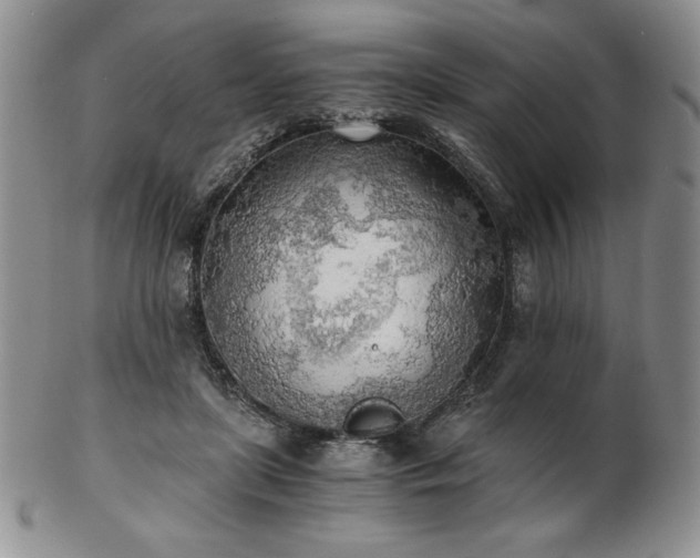 X0000103130451200808221157