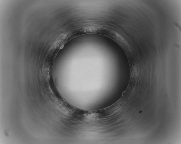 X0000103130452200808221157