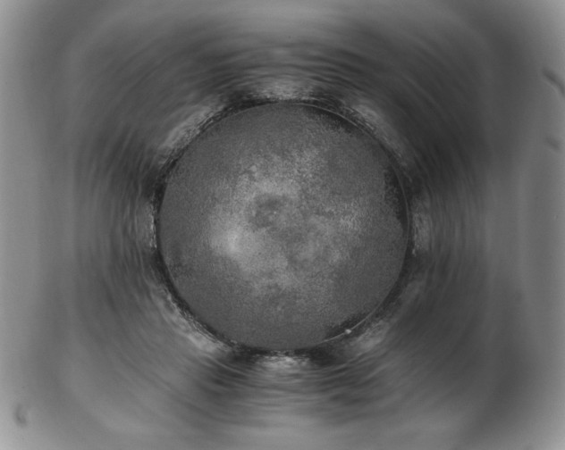 X0000103130453200808221157