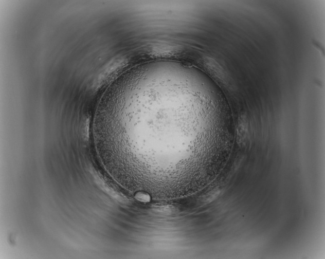 X0000103130454200808221157