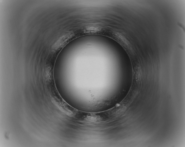 X0000103130455200808221157