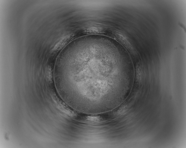 X0000103130457200808221157