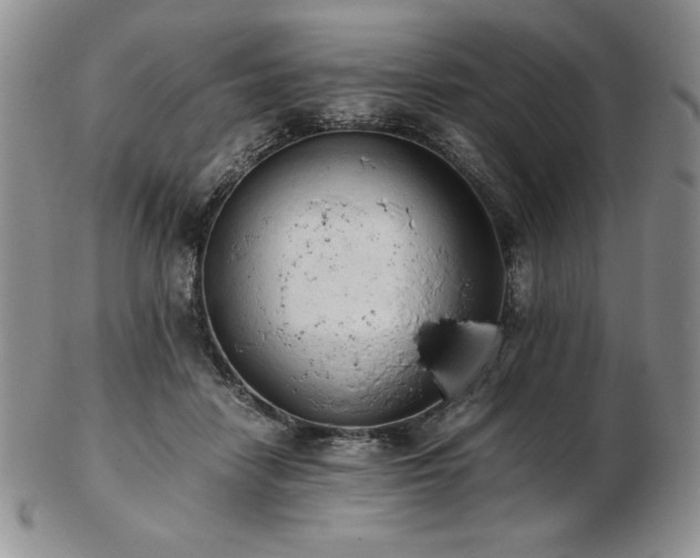 X0000103130458200808221157