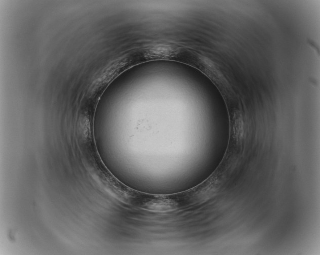 X0000103130459200808221157