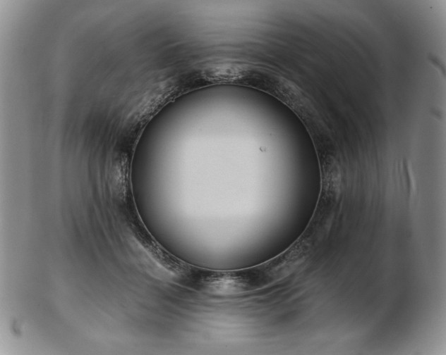 X0000103130460200808221158