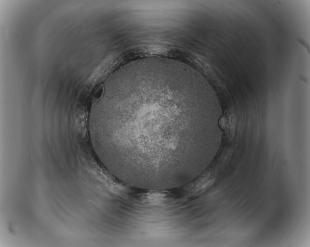X0000103130462200808221158