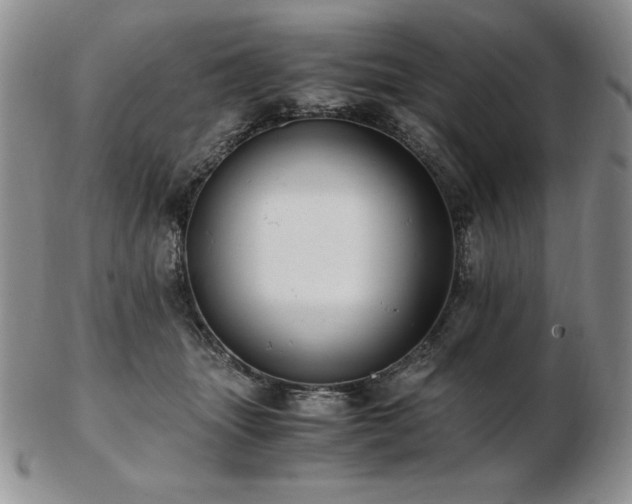 X0000103130463200808221158