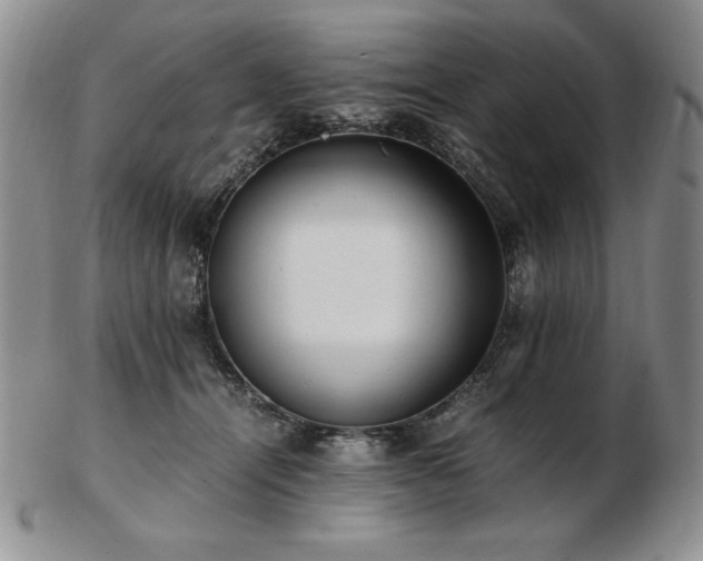 X0000103130464200808221158