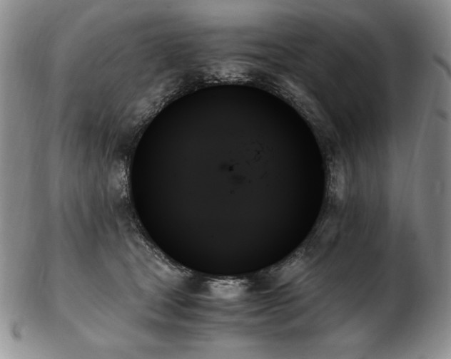 X0000103130465200808221158